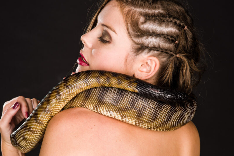 Fotoshooting mit Tieren