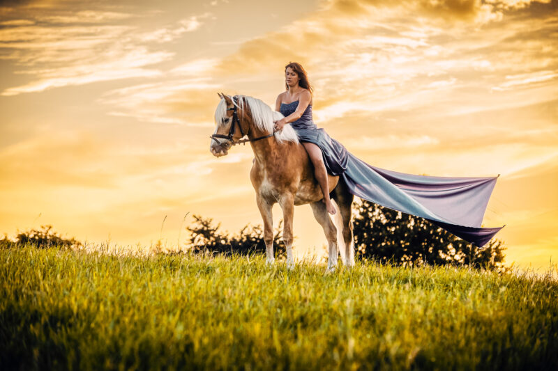 Fotoshooting mit Tieren