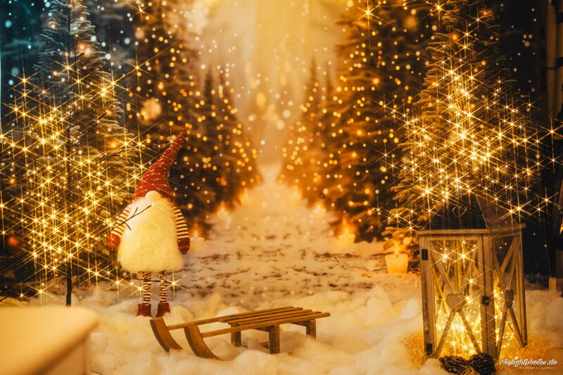 Weihnachtsaktion 2025